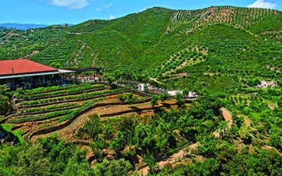 &Beta;&omicron;&tau;&alpha;&nu;&iota;&kappa;ό &Pi;ά&rho;&kappa;&omicron;